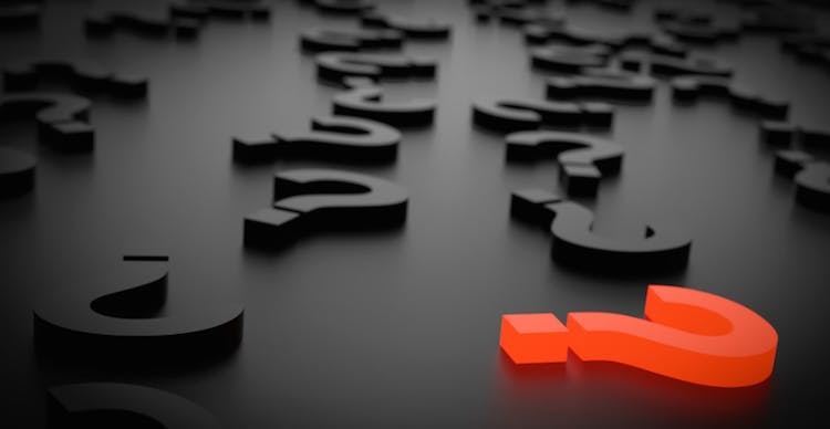 670c3856c7e8330014f5f566 Pixabay