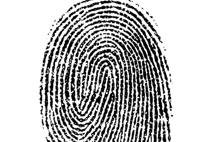 670c3859c7e833174ff5f568 Fingerprint20convict20hire