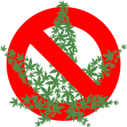 670c386365109544c7d11d6d Cannabis2125587 640 670c386365109544c7d11d6d Cannabis2125587 640