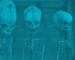 Architects and Traveling: Life of an Architect Architects and Traveling: Life of an Architect