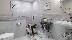 universal design