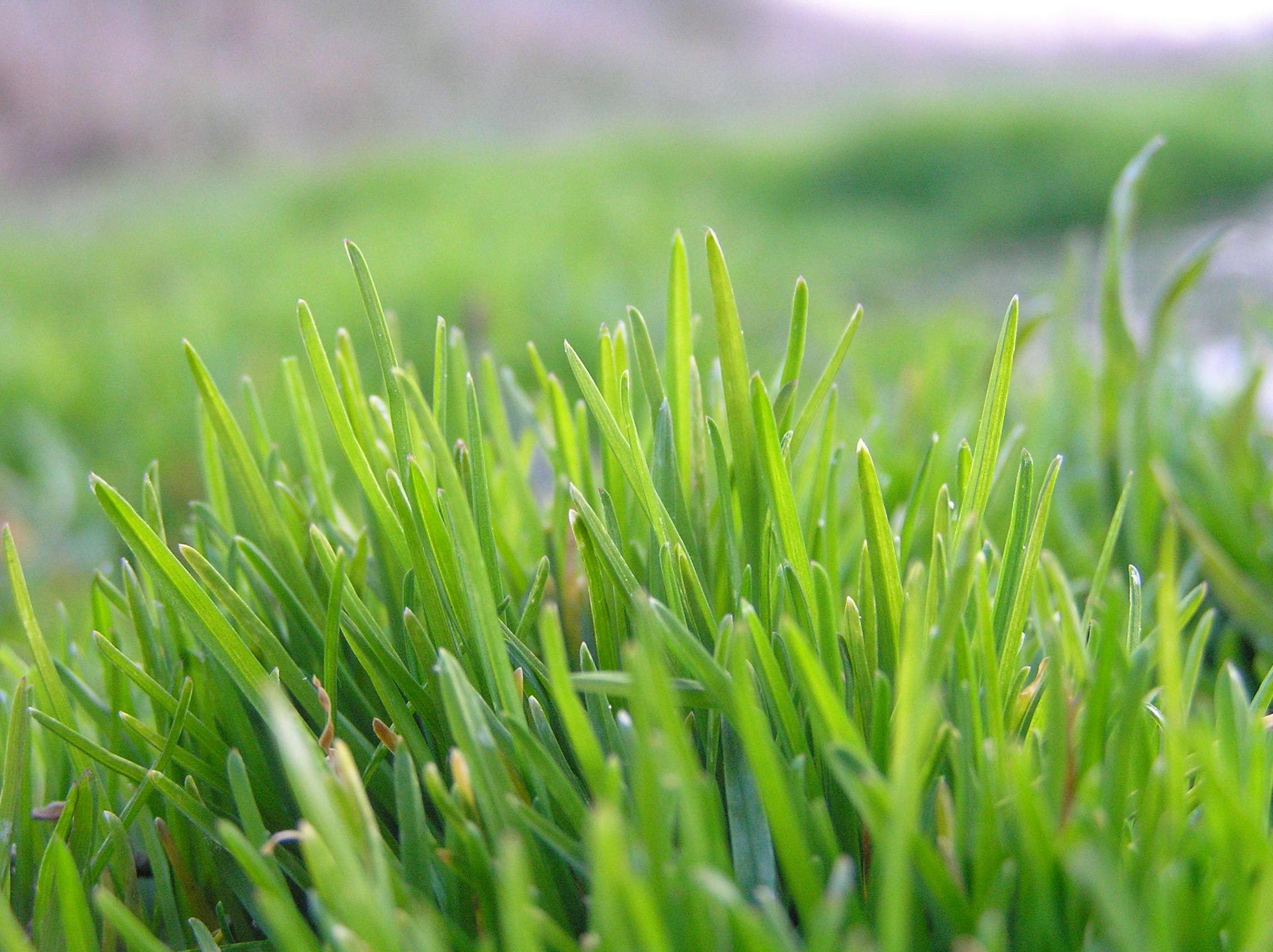 670c38d05b25a99d7e4fb0e2 Greengrass