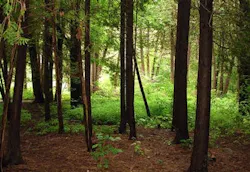 670c38edc7e833d803f5f658 Green 2 670c38edc7e833d803f5f658 Green 2