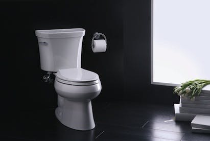 Kohler toilet