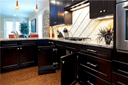 NAHB, NAHB Remodelers, Homes for Life awards NAHB, NAHB Remodelers, Homes for Life awards