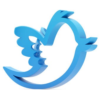 670c392e5b25a97d164fb17c Shutterstock 84444805350x350