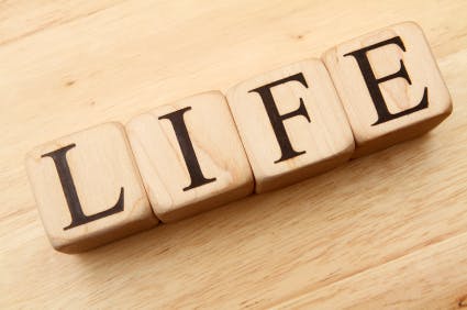 670c39c2c7e83342f2f5f7ca Lifelessons