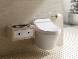 wall mounted toilet wall mounted toilet