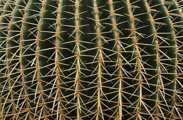 Thorny issue: replacing staff who leave your company is costly