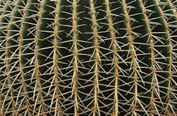 Thorny issue: replacing staff who leave your company is costly Thorny issue: replacing staff who leave your company is costly