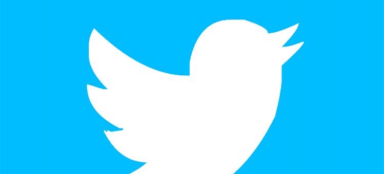 Erika Taylor ponders the future of Twitter