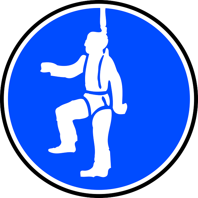 Safety harness symbol