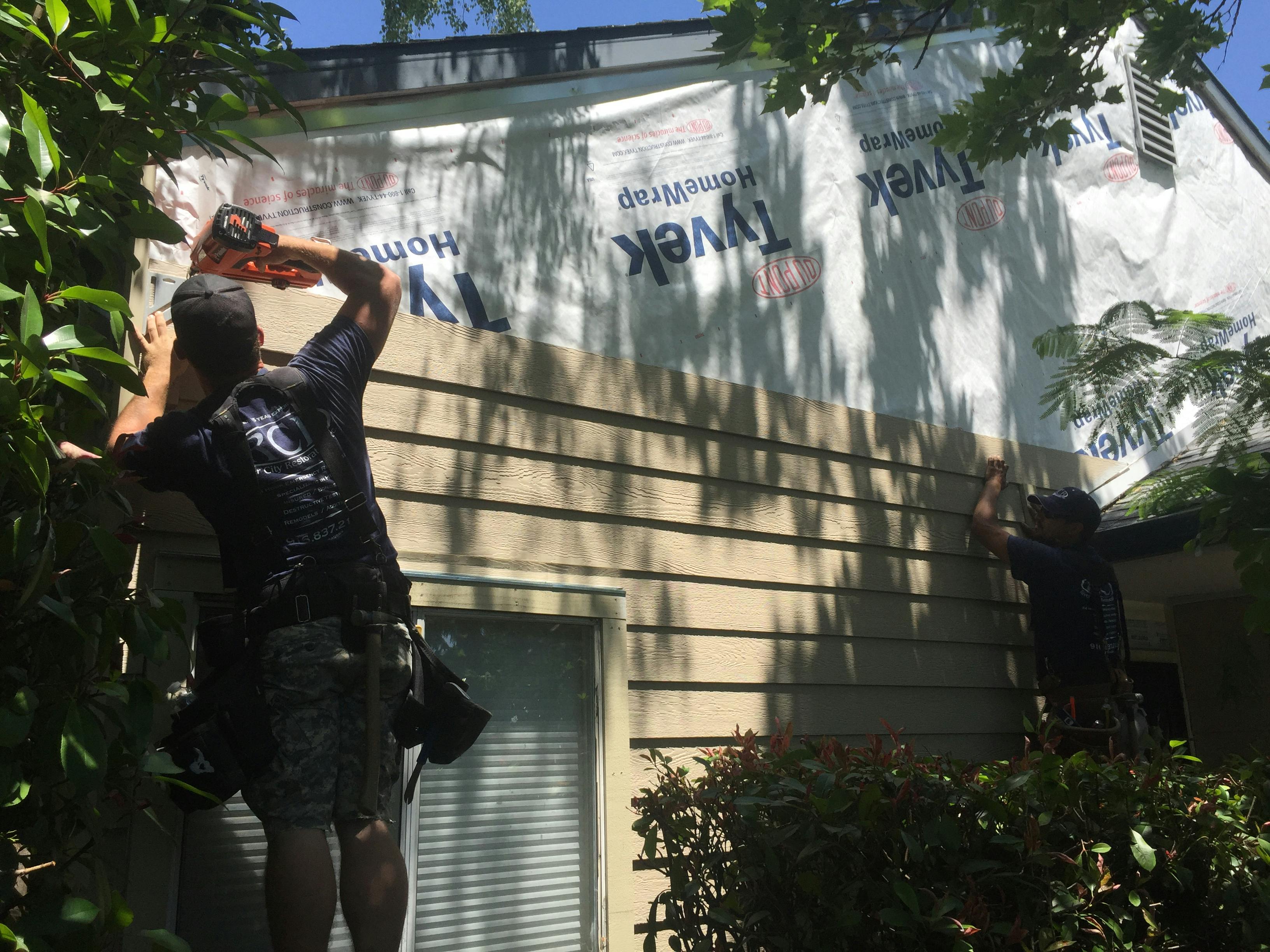 670c3a54b16b5c44b97a5e01 Img 1297