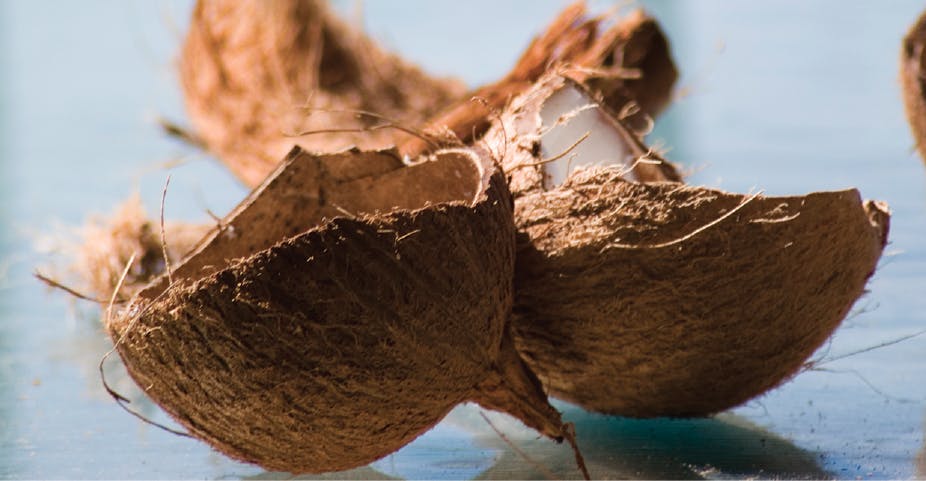 670c3a5c968804a6ee823b70 Coconut20