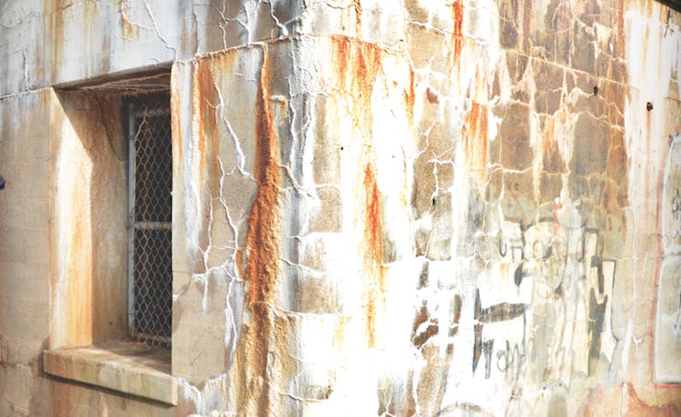 670c3a5f6f422afdf8512639 Efflorescence Hero