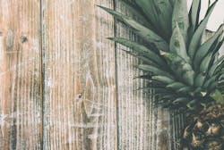 natural building materials natural building materials