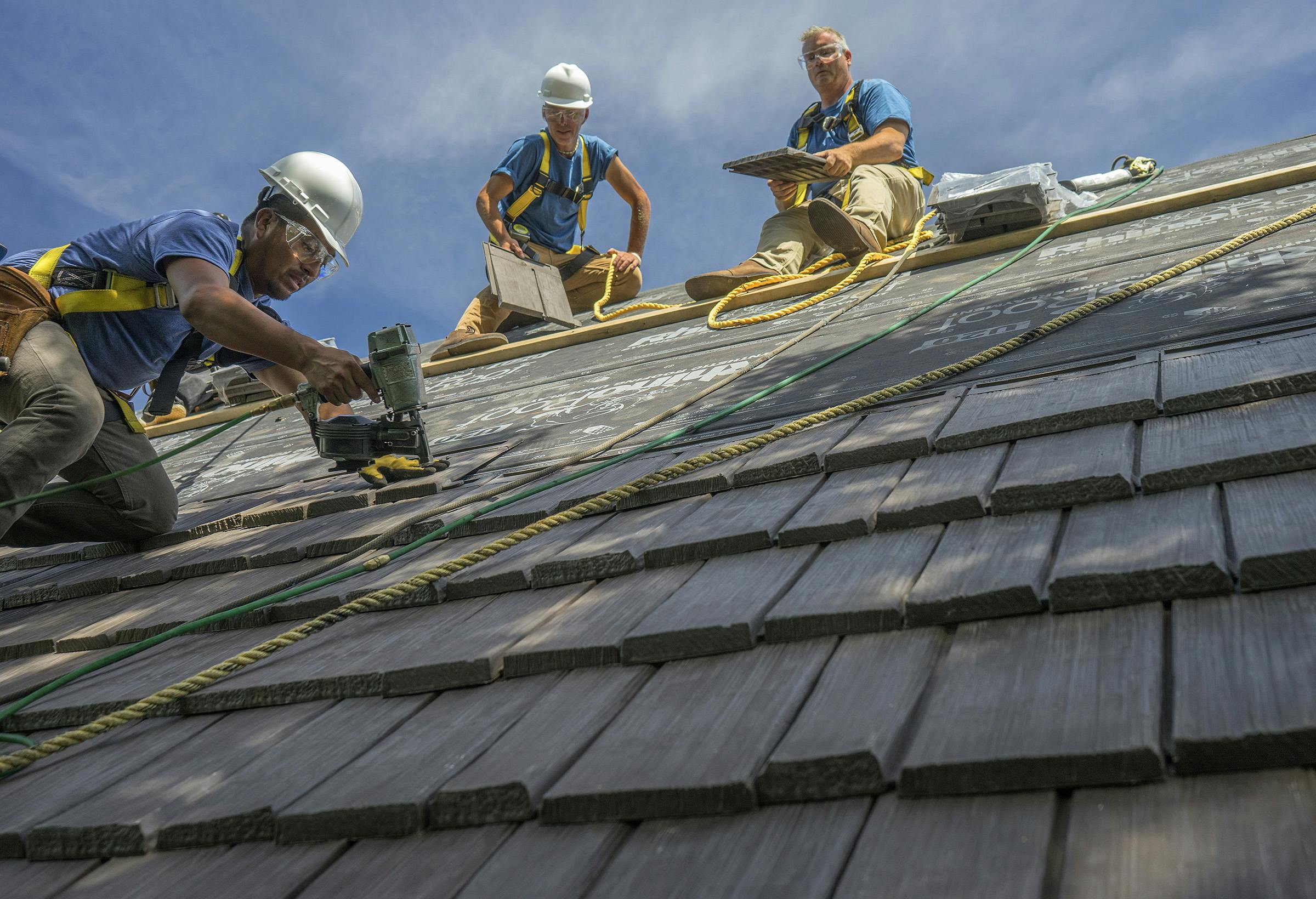 670c3ad5c7e83375abf5f95f Bfshtahoevbmn082 5x8