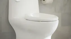 Gerber Avalanche toilet