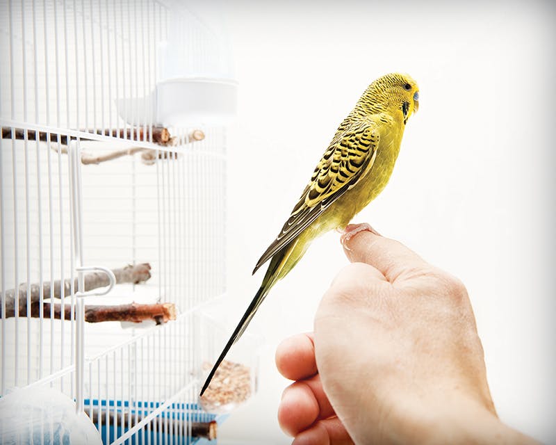 share goals publicly