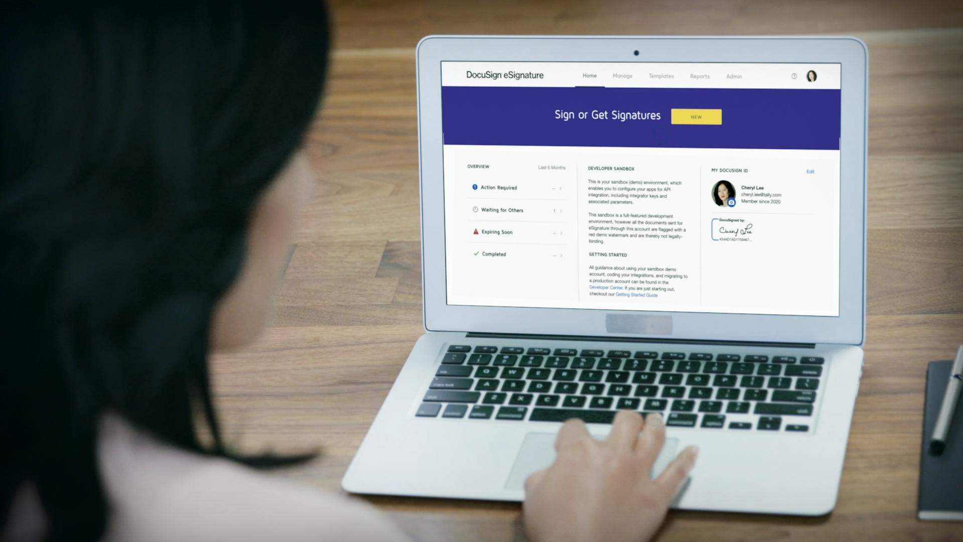 Docusign E Signature