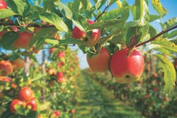 mark richardson mark richardson