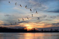 construction labor shortage construction labor shortage