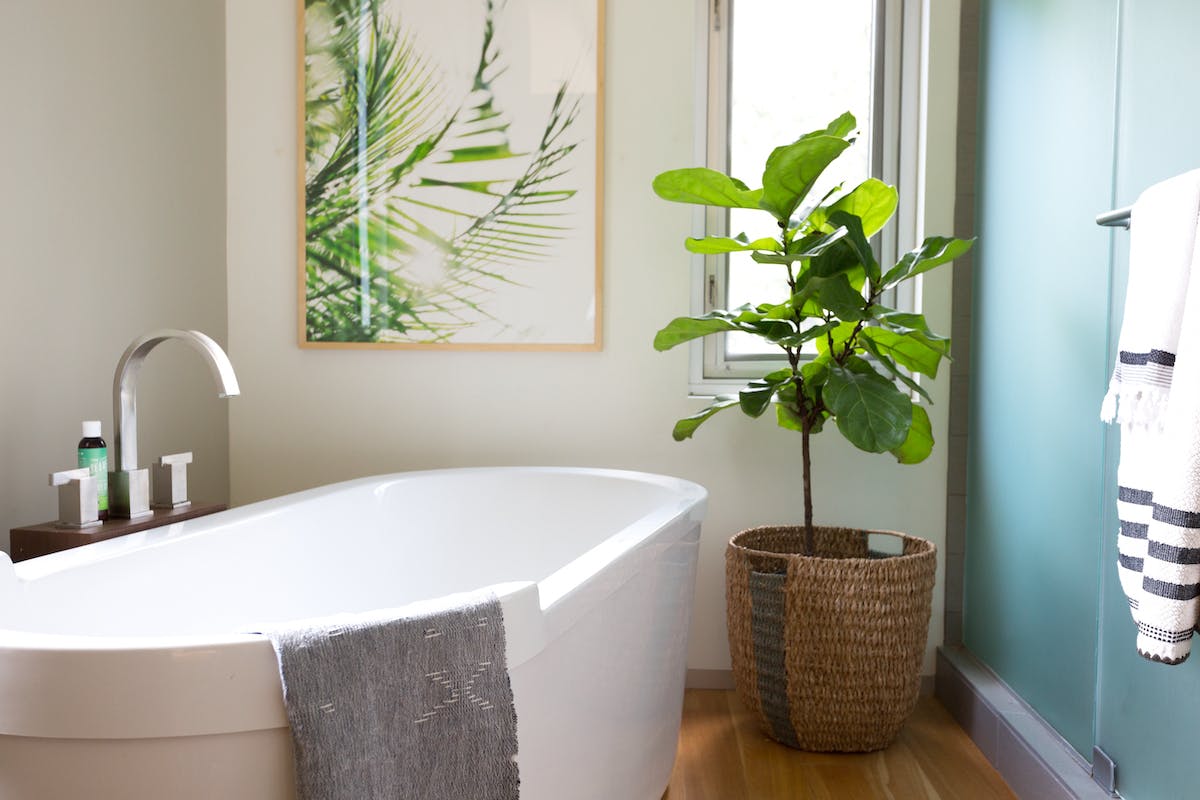 houzz bathroom design trends 2022