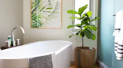 houzz bathroom design trends 2022