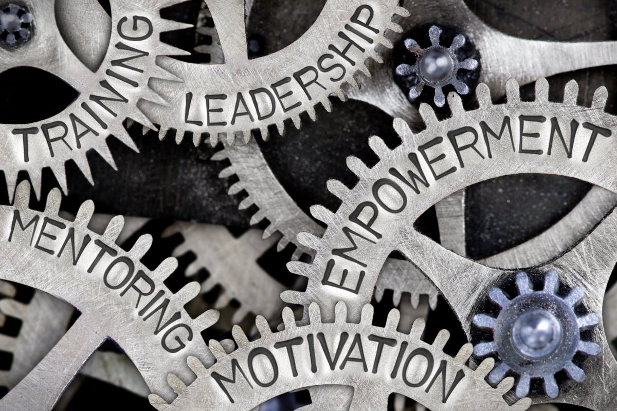 leadership gears