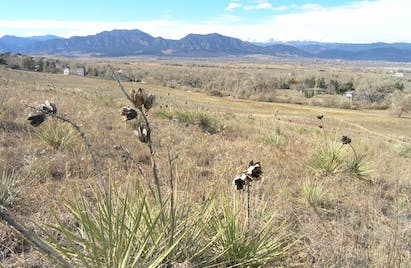 670c5f726510959ef2d12454 Land