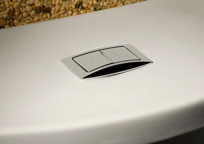 670c5f809688040daa823eea Dual20flush