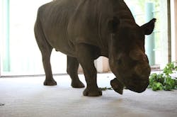 670c5f89151d9b214a8ef19f Steve1 670c5f89151d9b214a8ef19f Steve1