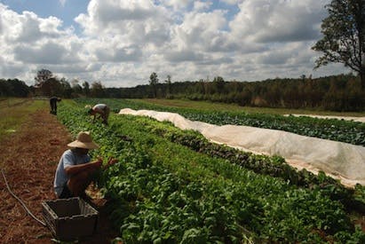 670c5f9faf93c93b669050b3 Serenbe