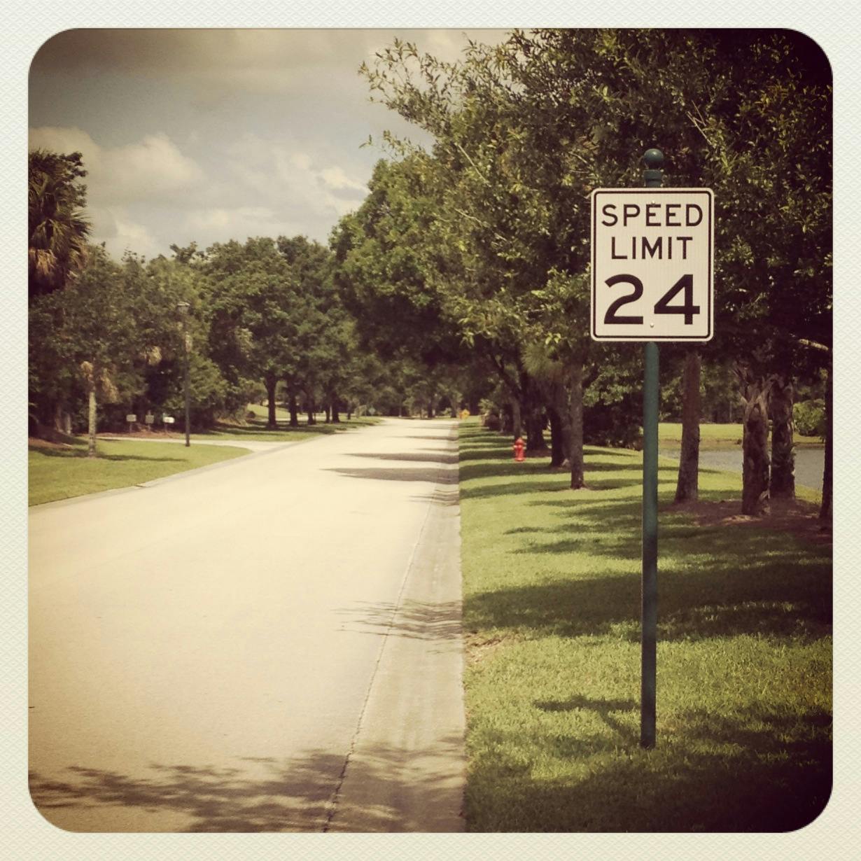 670c5fa0b16b5c33987a6281 La20foto