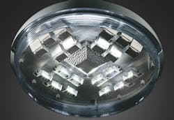 670c60bc68e9c1e36b2e698c Kim 670c60bc68e9c1e36b2e698c Kim