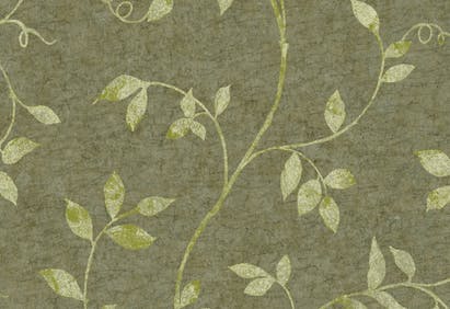 Bariwslasdisasdfasdfadsfgadfs