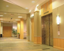 670c60e36f422a2ccb512c3c Seagull 670c60e36f422a2ccb512c3c Seagull