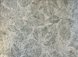 670c610f6510950e9ed12776 Screen20shot202013011720at202 670c610f6510950e9ed12776 Screen20shot202013011720at202