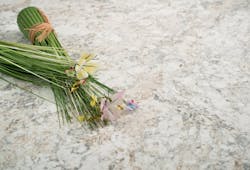 670c61756510958a7ad127dd Screen20shot202014022420at2011 670c61756510958a7ad127dd Screen20shot202014022420at2011