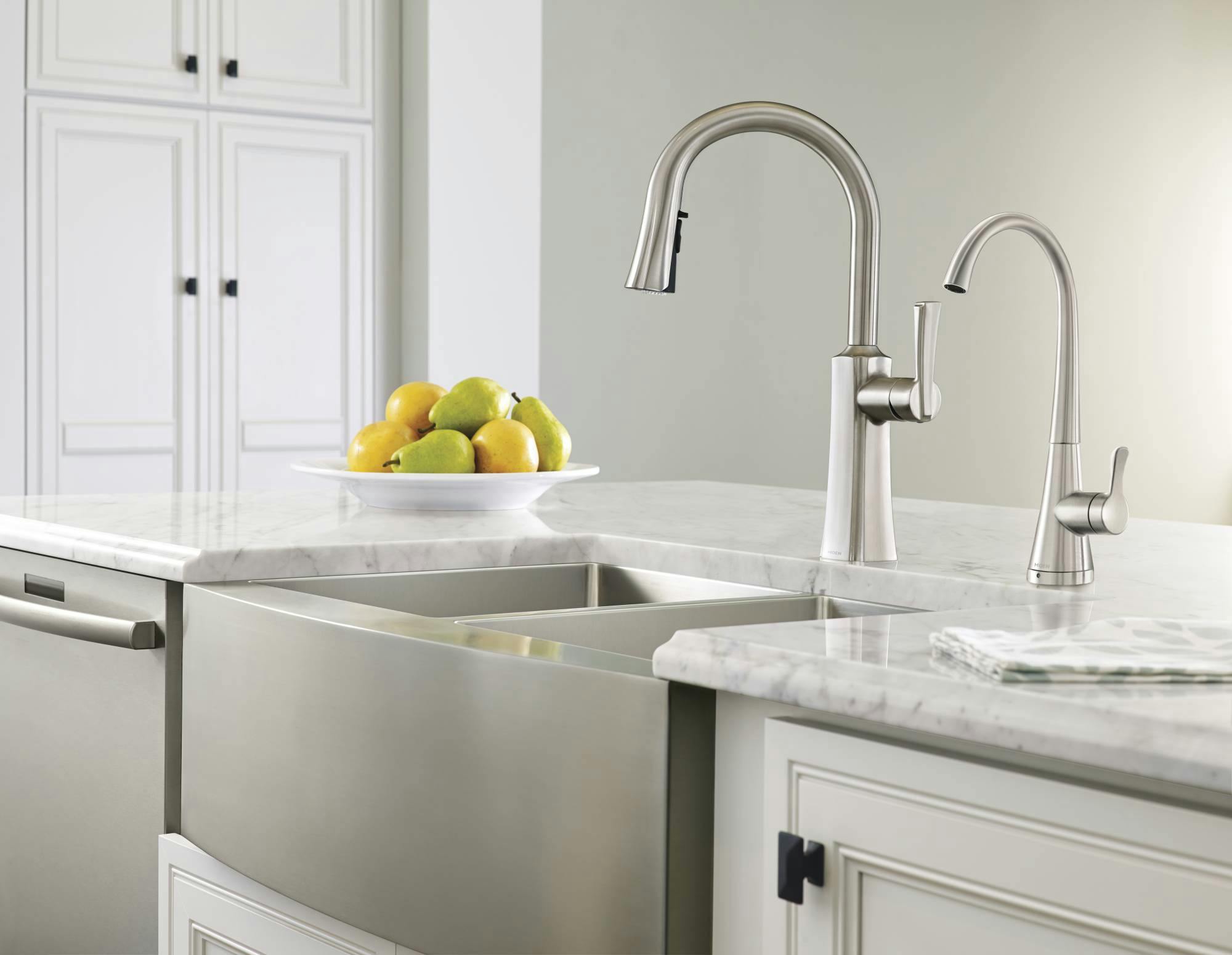Moen Etch Kitchen Suite