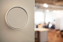 Birdi Low%20res Birdi Low%20res