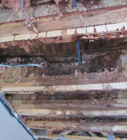 Cover%20story 1 Pr0216 Cover%20story 1 Pr0216