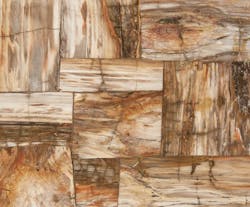 Ann Sacks Petrified Wood 12x12 Retro Large Mosaic Red Polished 0 Ann Sacks Petrified Wood 12x12 Retro Large Mosaic Red Polished 0