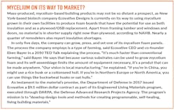 Mycelium is on its way to market? Mycelium is on its way to market?