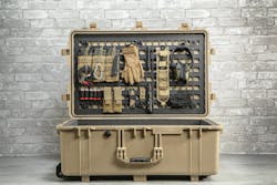 Pelican brief Pelican brief