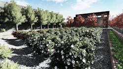 Orchard Garden Orchard Garden