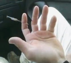 Nail Through Finger Nail Through Finger