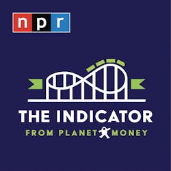 The Indicator The Indicator