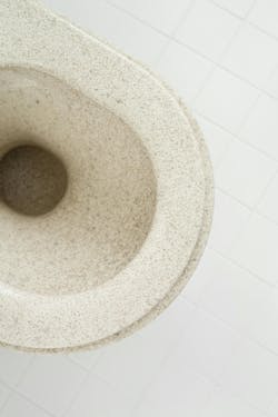 woodio toilet woodio toilet