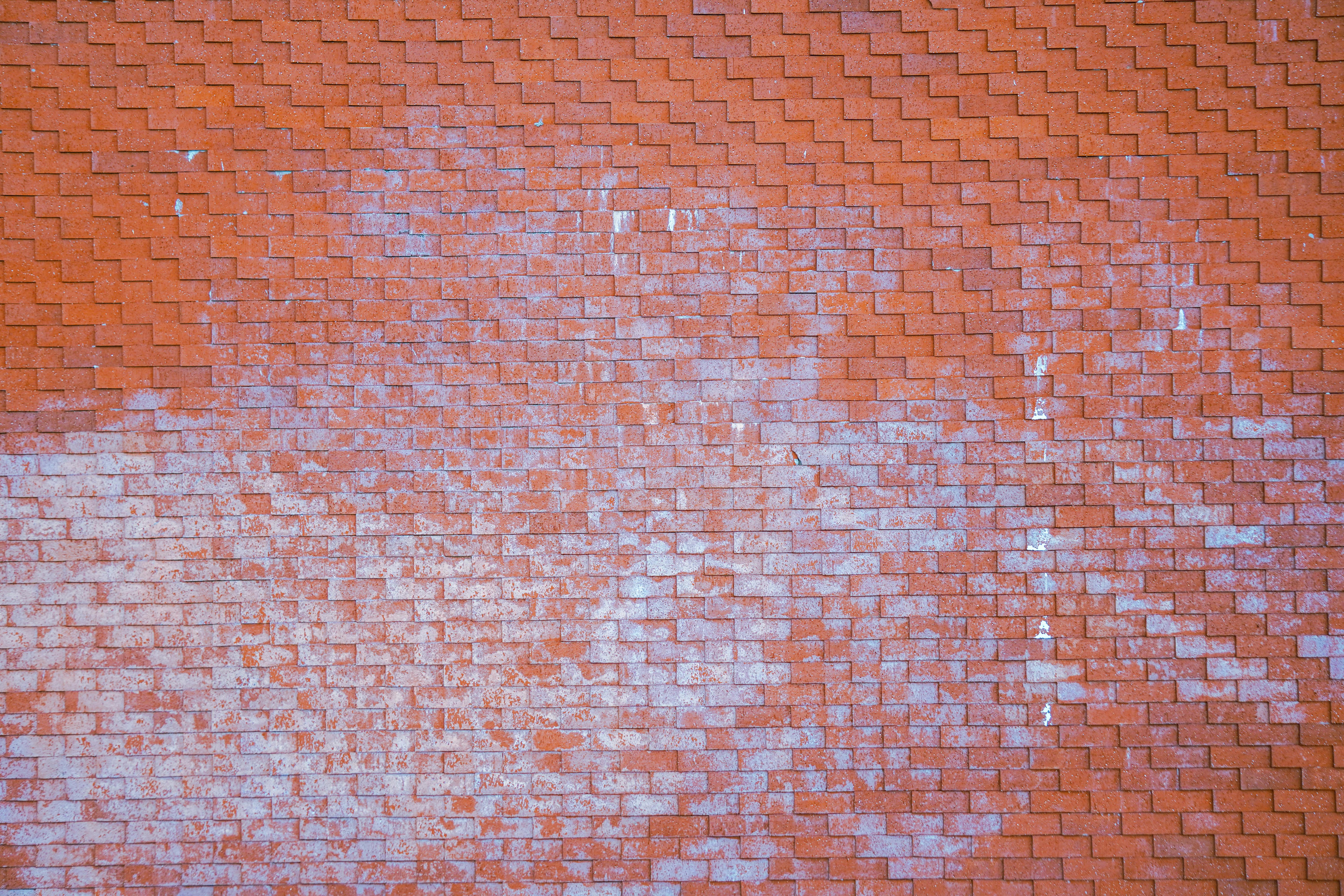 efflorescence on a brick wall